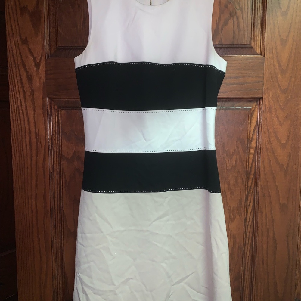 Elegant Black and White Striped Dress